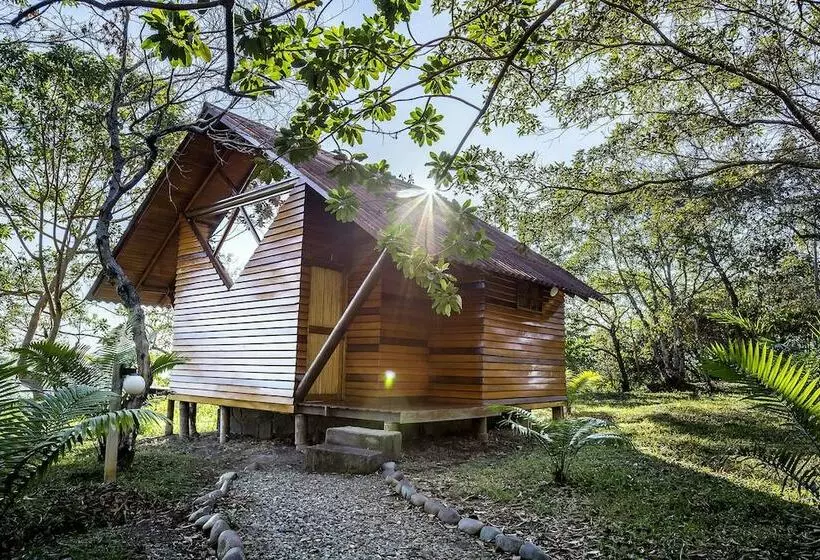ホテル Huasai Wasi Ecolodge