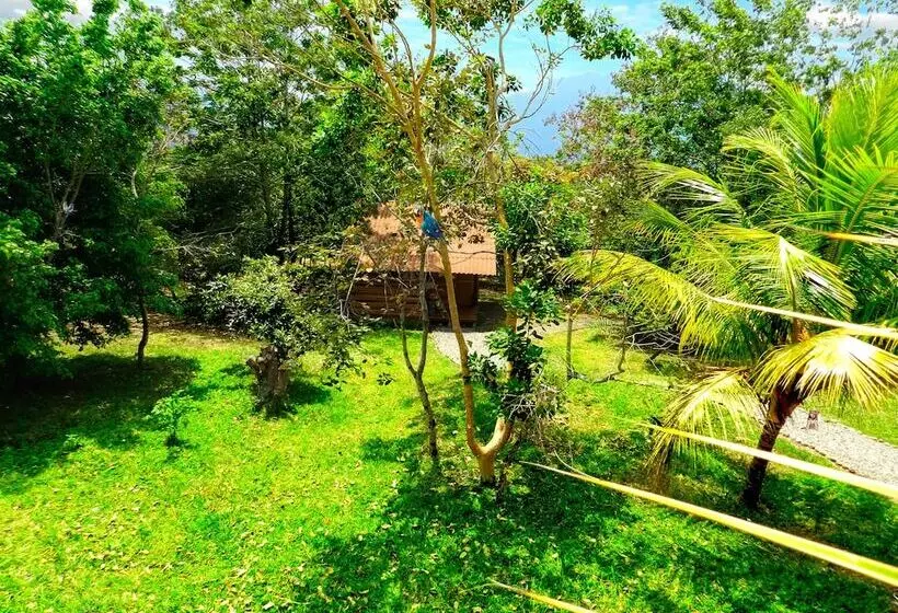 ホテル Huasai Wasi Ecolodge