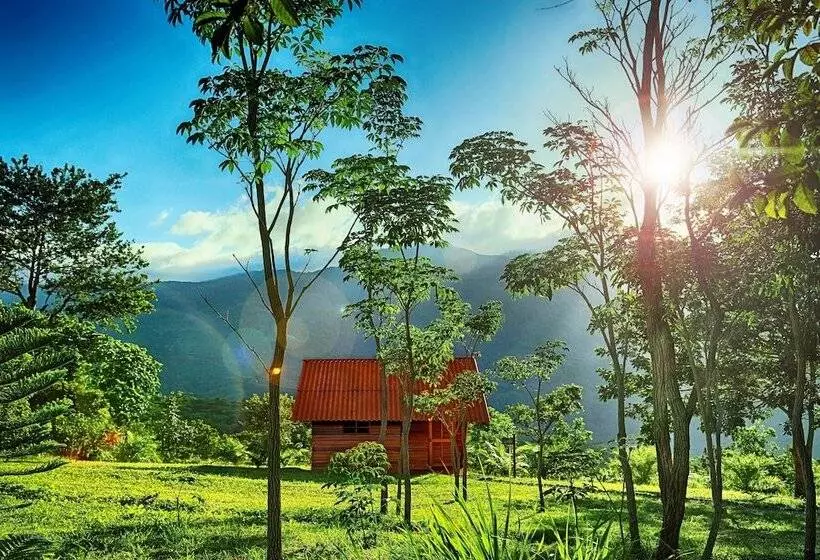 ホテル Huasai Wasi Ecolodge