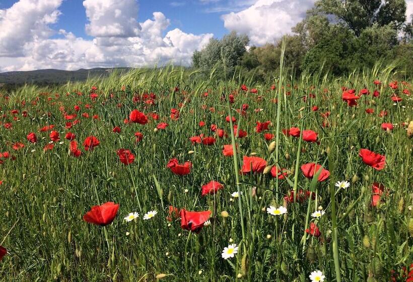 فندق La Clé Des Champs, Boutique Hôtel & Spa