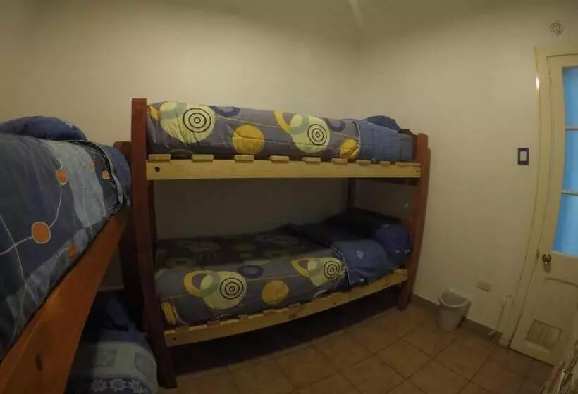 هتل Lemuria Hostel