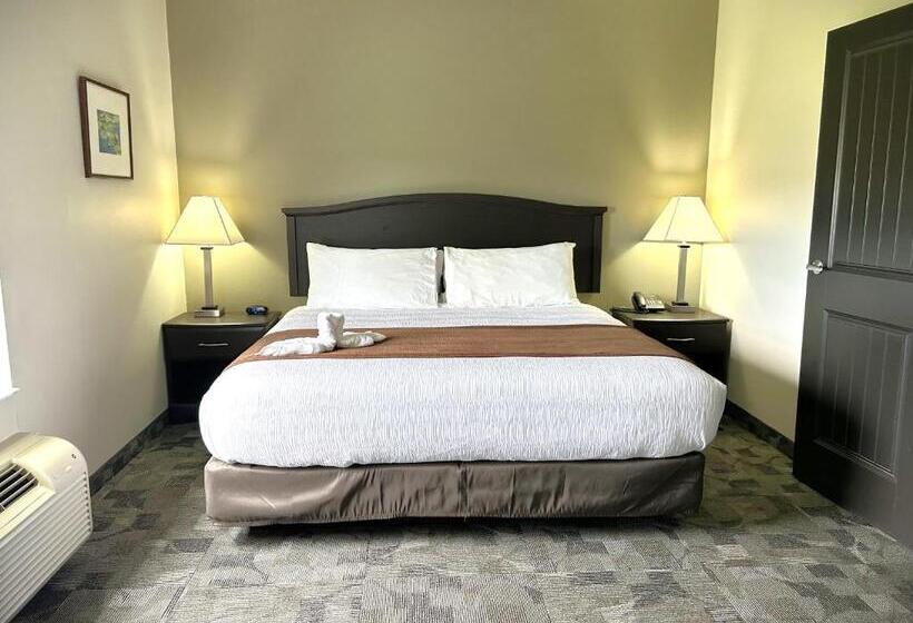 בית מלון כפרי Midland Inn & Suites