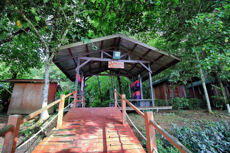 ホテル Nature Lodge Kinabatangan