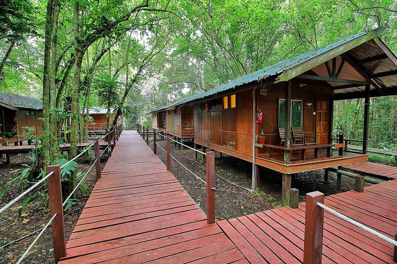 ホテル Nature Lodge Kinabatangan