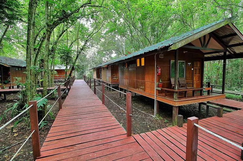 هتل Nature Lodge Kinabatangan