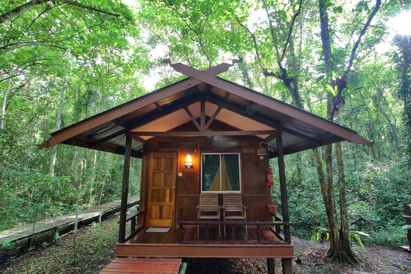 ホテル Nature Lodge Kinabatangan