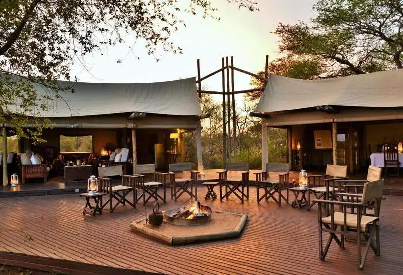 Hotelli Rhino Walking Safaris