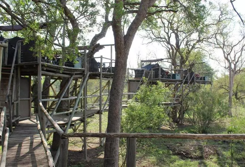 Hotelli Rhino Walking Safaris