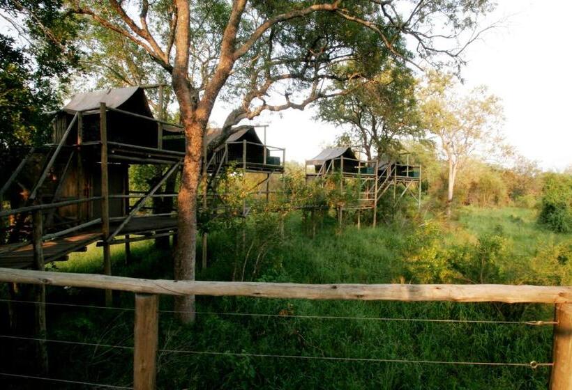 Отель Rhino Walking Safaris