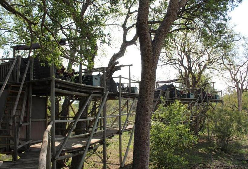 Отель Rhino Walking Safaris