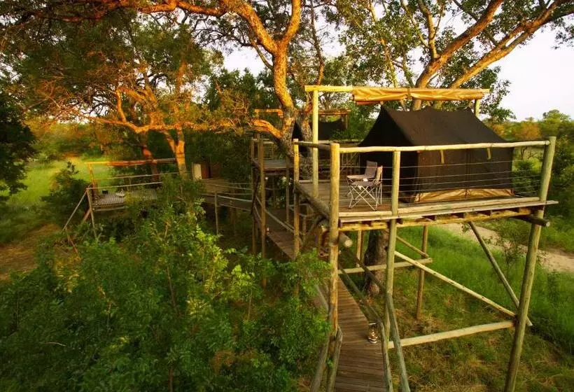 Hotelli Rhino Walking Safaris