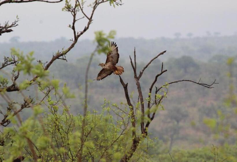 Отель Rhino Walking Safaris