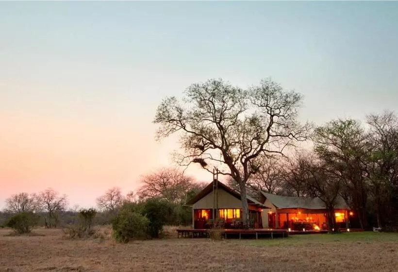 Hotelli Rhino Walking Safaris