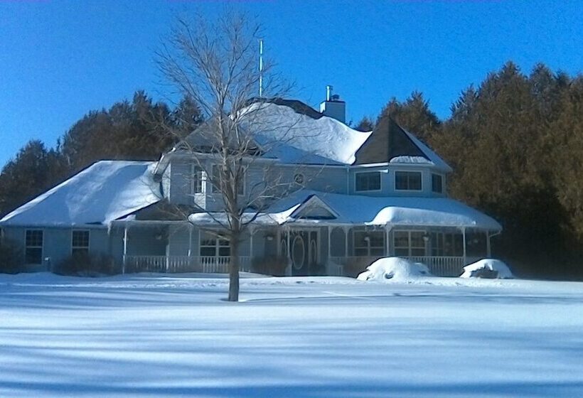 فندق The Boston  T  B&b