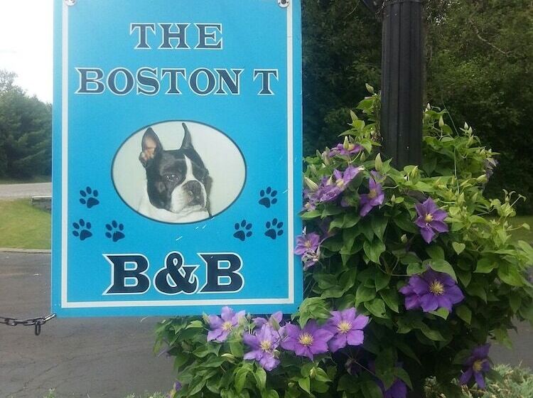 فندق The Boston  T  B&b
