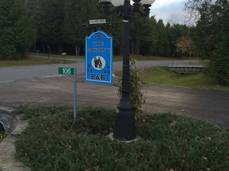 فندق The Boston  T  B&b