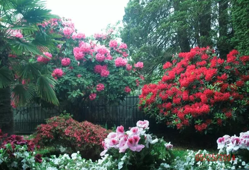 ホテル The Stone Hedge Bed And Breakfast