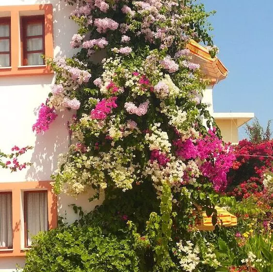 ホテル Villa Elizea