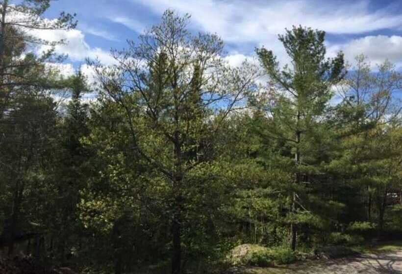 Hotel Westwind Inn On The Lake