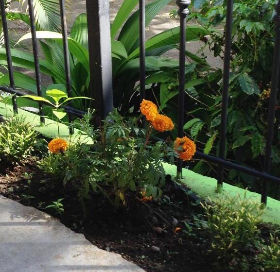 Melrost Airport Bed & Breakfast