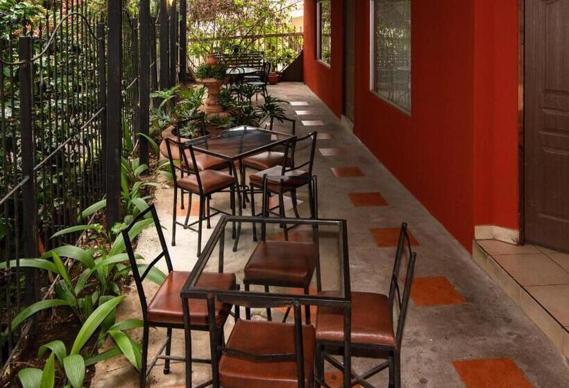 Melrost Airport Bed & Breakfast