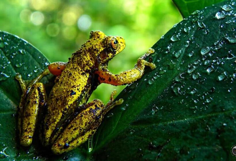 Valle Escondido Nature Reserve Hotel & Farm