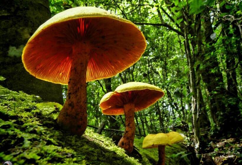 Valle Escondido Nature Reserve Hotel & Farm