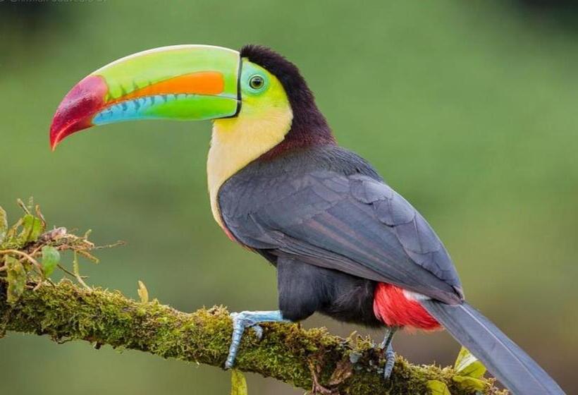 Valle Escondido Nature Reserve Hotel & Farm