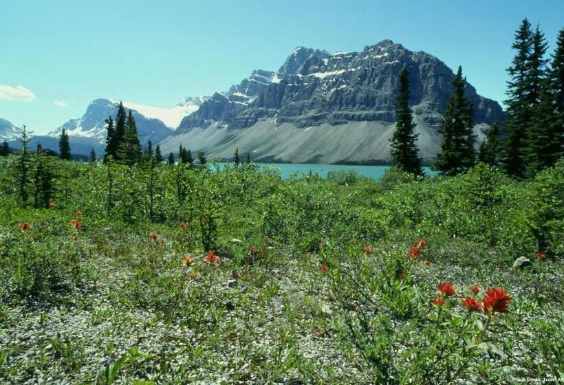 فندق Hi Castle Mountain Hostel