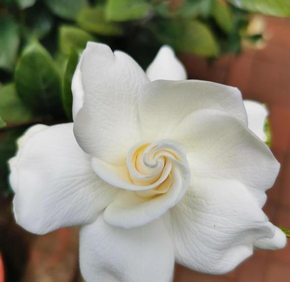 בית מלון כפרי La Casa De Mi Sub