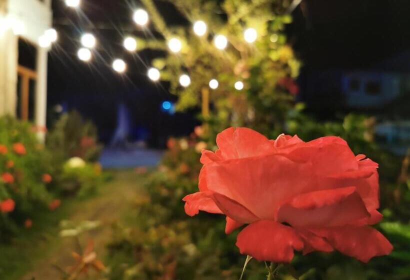 בית מלון כפרי La Casa De Mi Sub