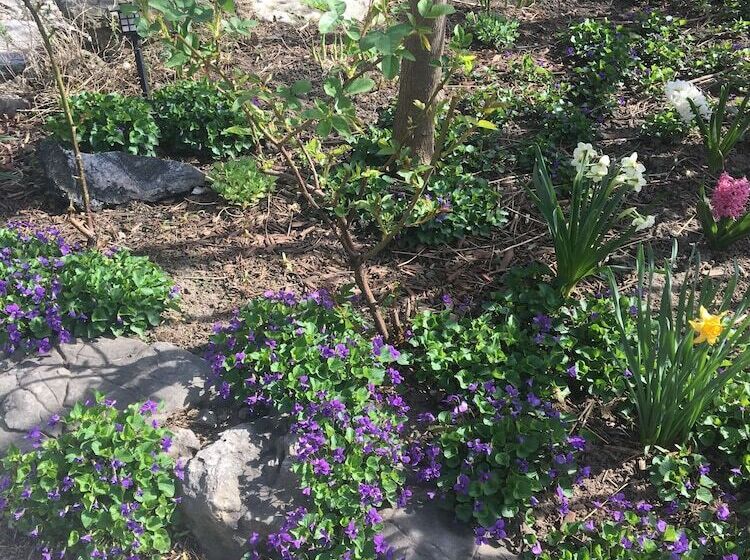 فندق Pring Guesthouse