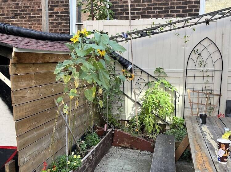 فندق Pring Guesthouse