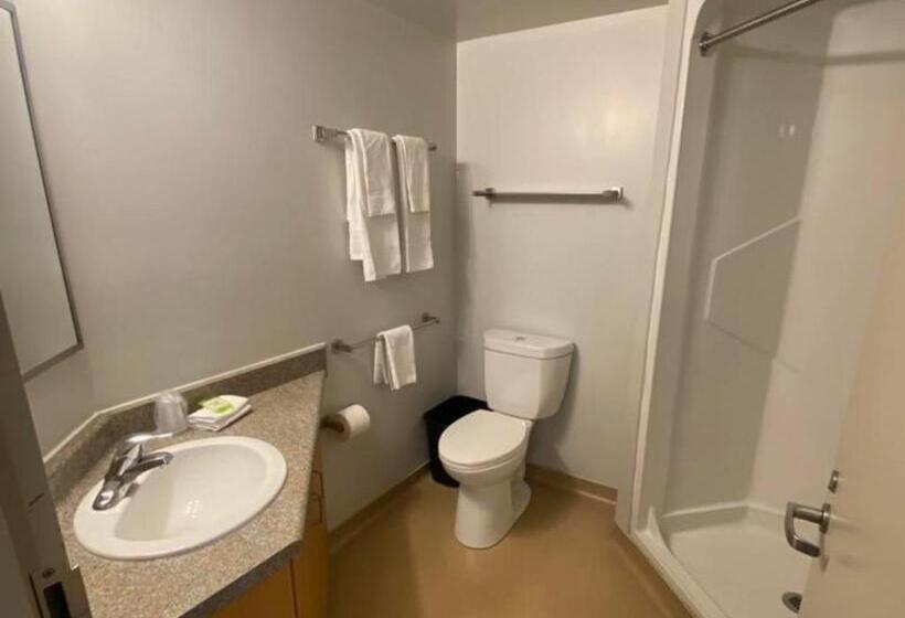 호텔 Residence & Conference Centre   London