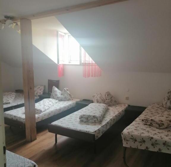 Albergue Helga House