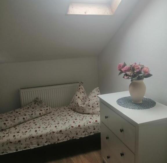 Albergue Helga House