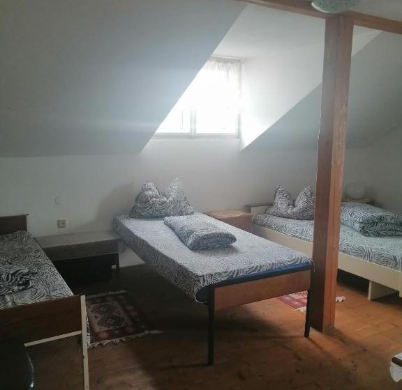 Albergue Helga House