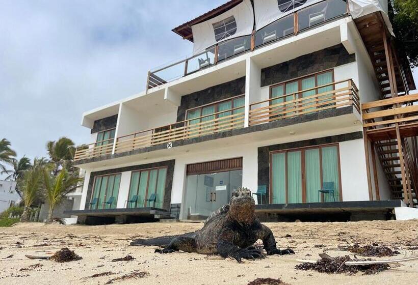 مبيت وإفطار Cormorant Beach House