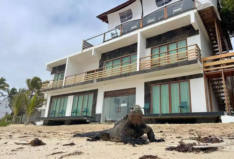 تختخواب و صبحانه Cormorant Beach House