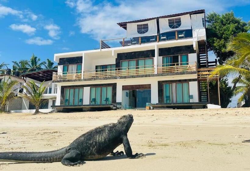 مبيت وإفطار Cormorant Beach House