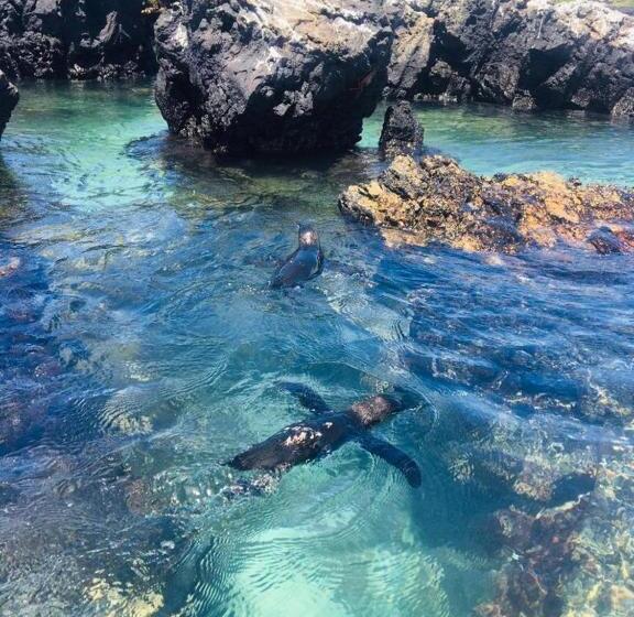 مبيت وإفطار Cormorant Beach House