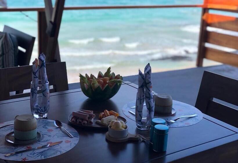 مبيت وإفطار Cormorant Beach House