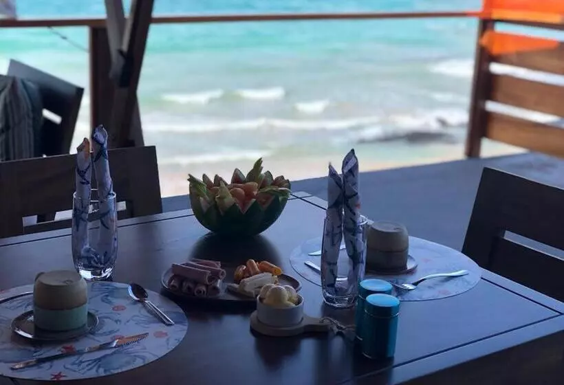 تختخواب و صبحانه Cormorant Beach House