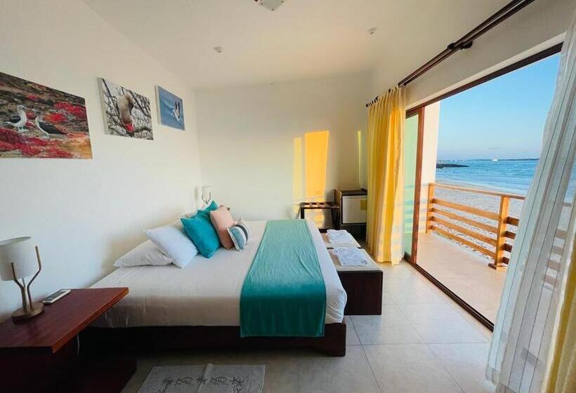 مبيت وإفطار Cormorant Beach House