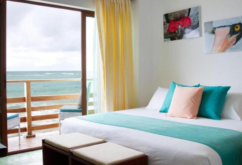 مبيت وإفطار Cormorant Beach House