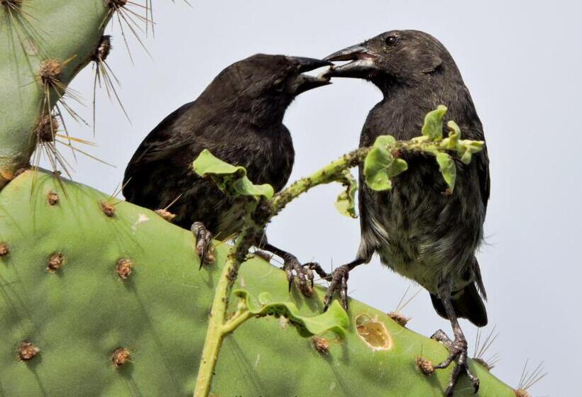 مبيت وإفطار Cormorant Beach House