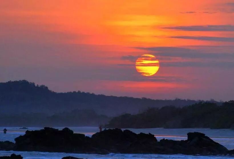 تختخواب و صبحانه Cormorant Beach House