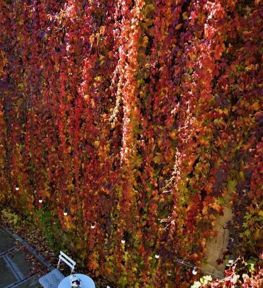 Bed and Breakfast Goldsmith