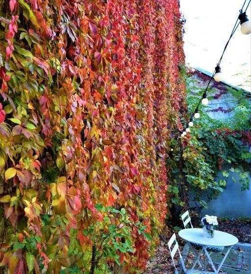 Bed and Breakfast Goldsmith