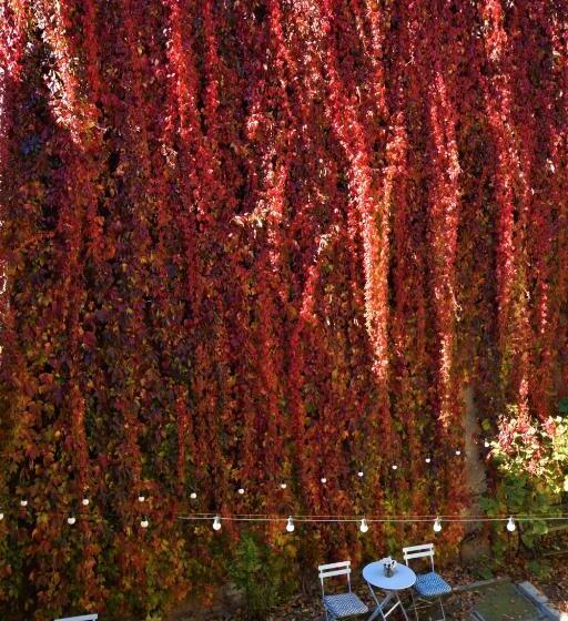 Bed and Breakfast Goldsmith